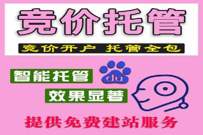 竞价排名策略案例：广告效果最大化技巧